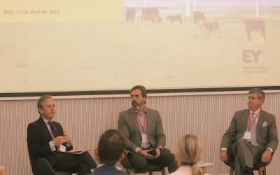 Sevilla Open for Business expone los trabajos en proyectos de inversión en sectores de alto valor añadido